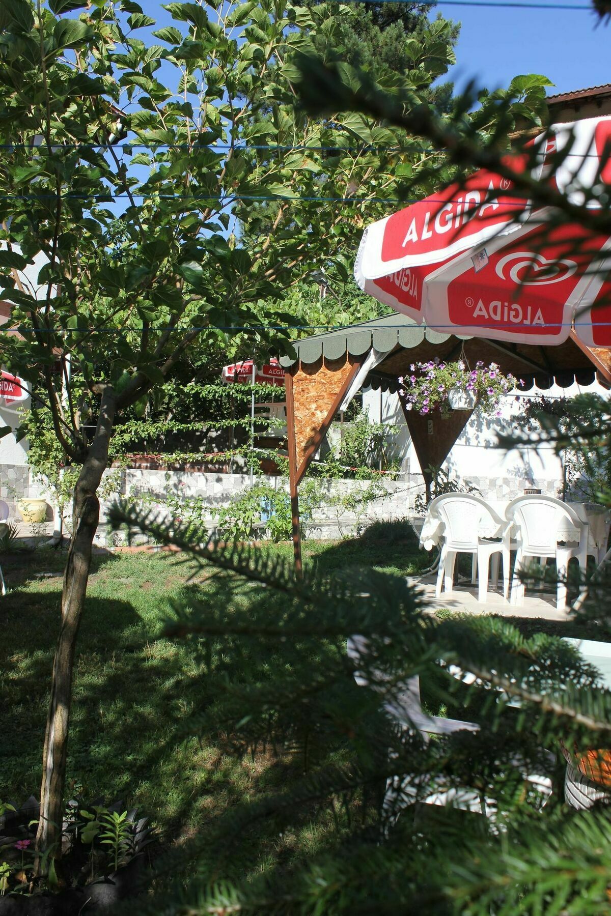 Emiroglu Konak Otel サフランボル エクステリア 写真